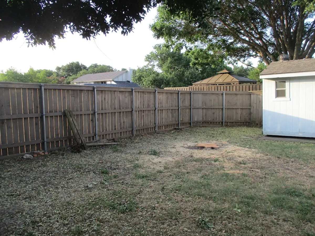 Cleared yard after professional tree removal in Breedsville